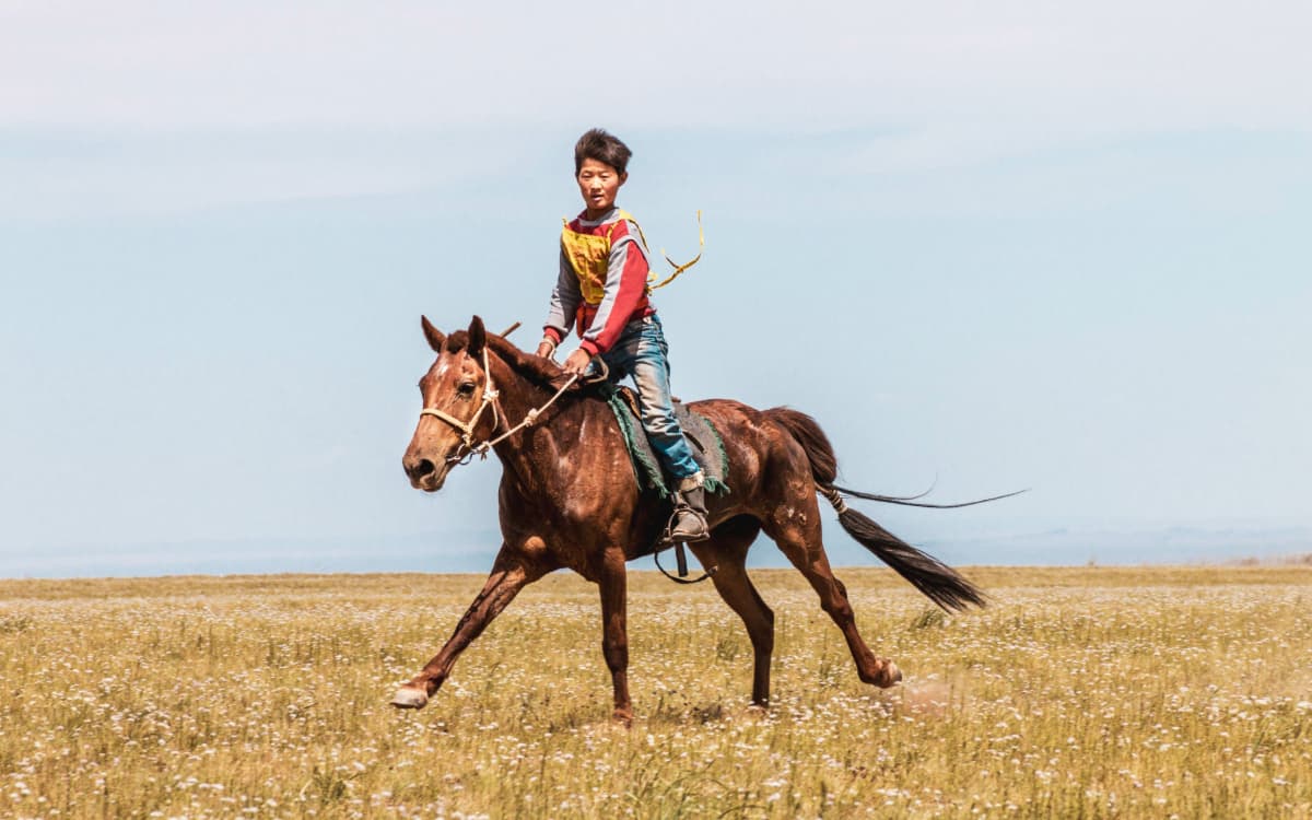 Horseback rider at the Naadam Festival