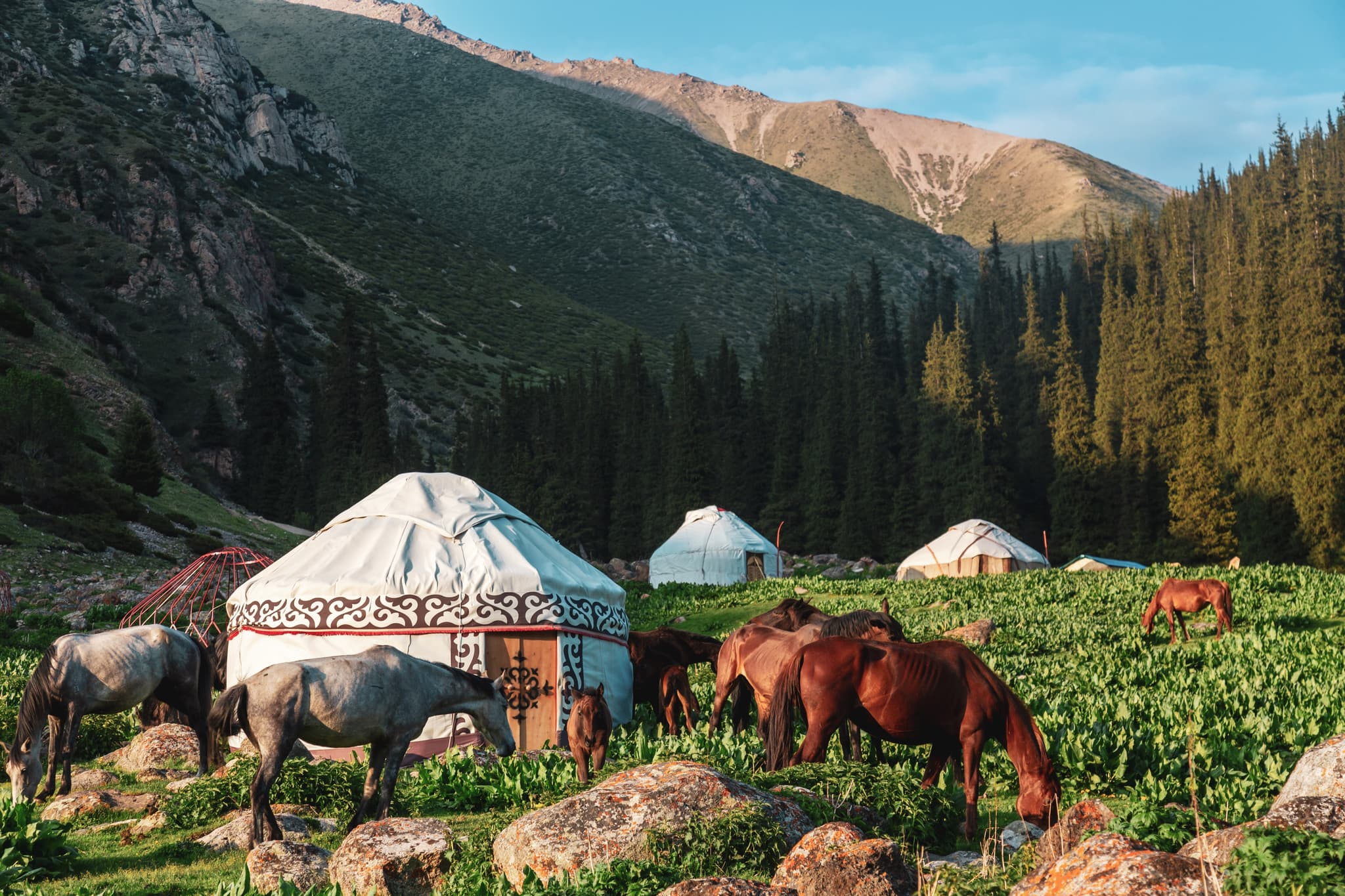 Silk Road Train Tours hero image