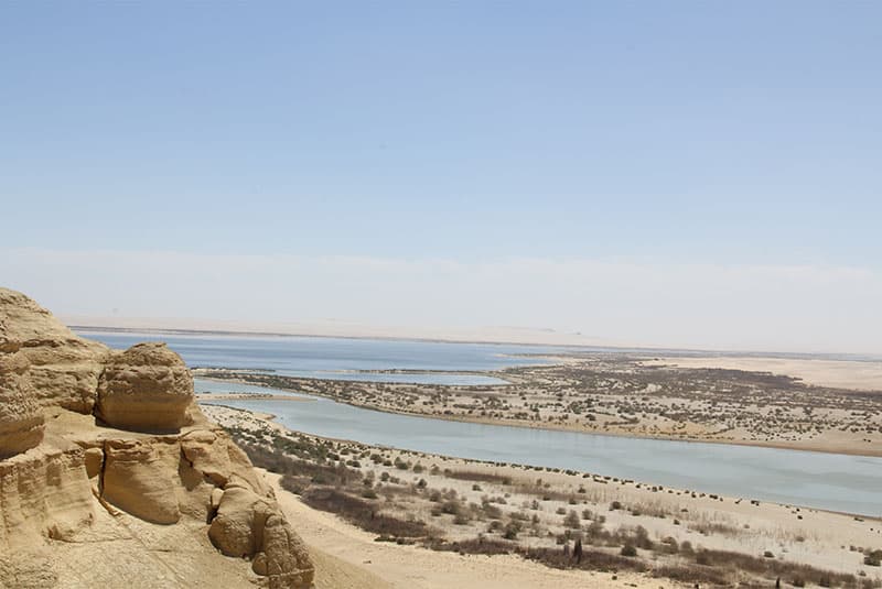 Egypt Fayoum Unsplash 800x535 1