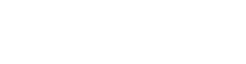 Travel Pulse Logo