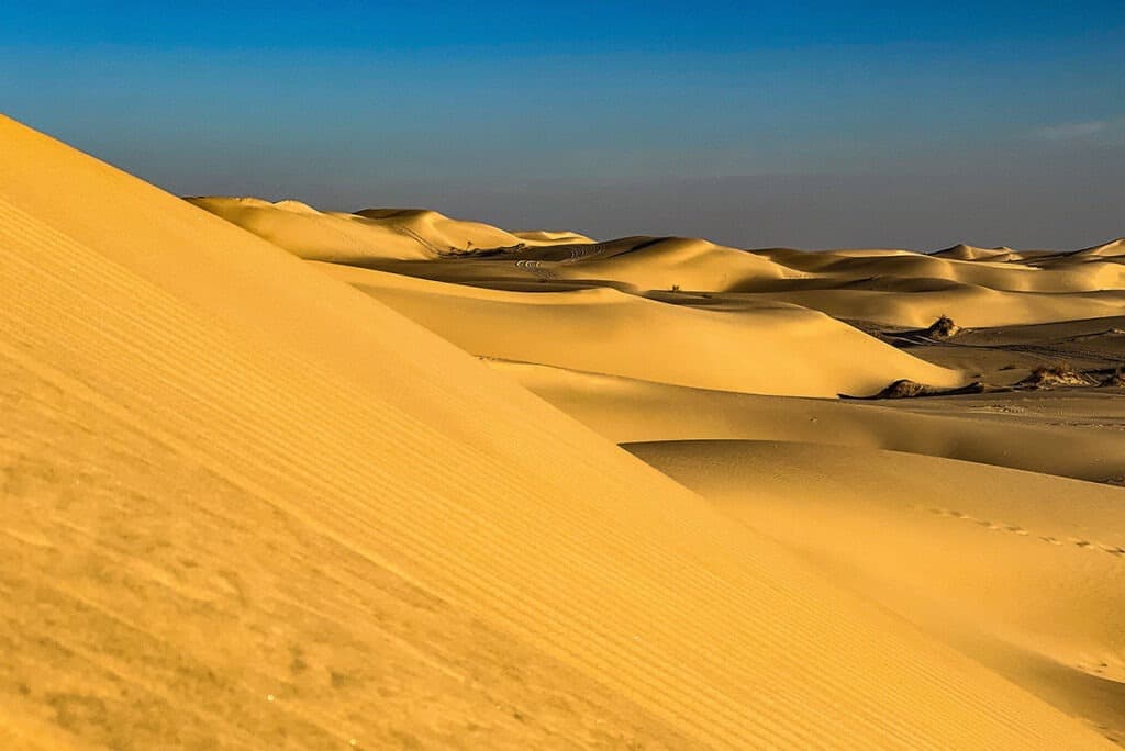 algeria saharan sand dunes 1024x684