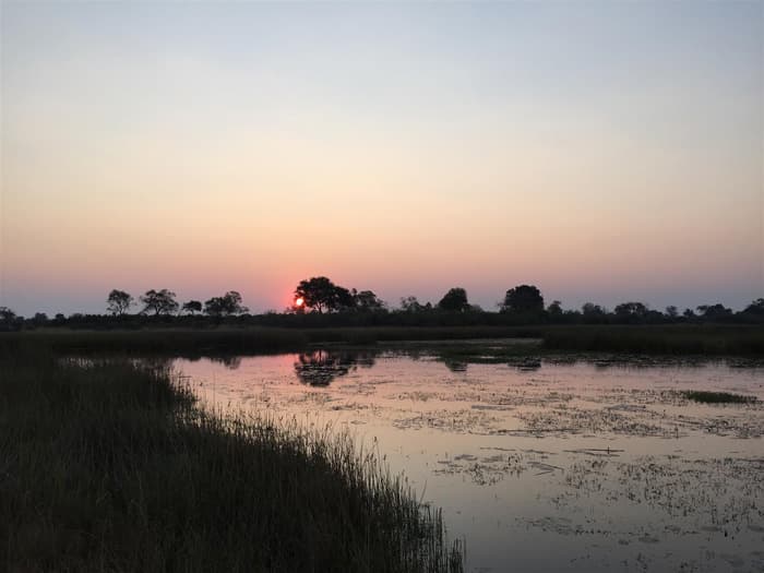 botswana africa savuti marsh geoex
