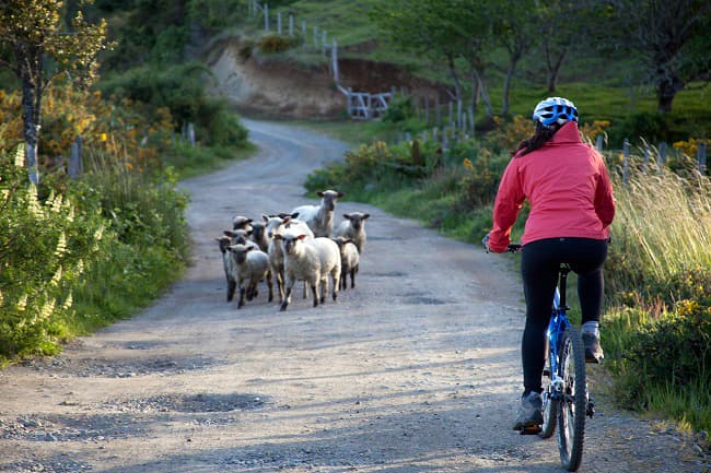 chile chiloe island biking geoex travel