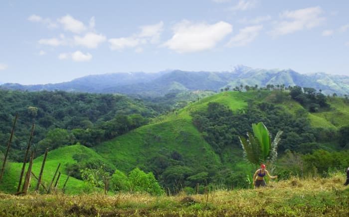 costa rica organic farm geoex