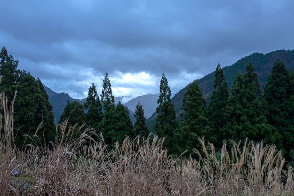 edit L1050537 1024x684