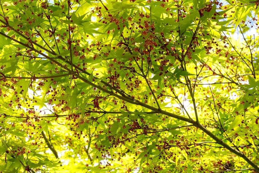 edit L1070017 1024x684