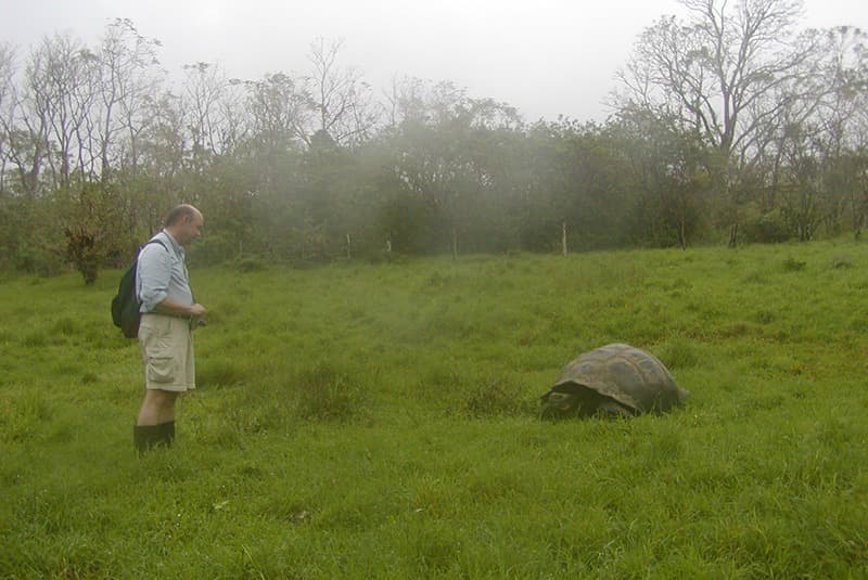 galapagos giant tortoise field don
