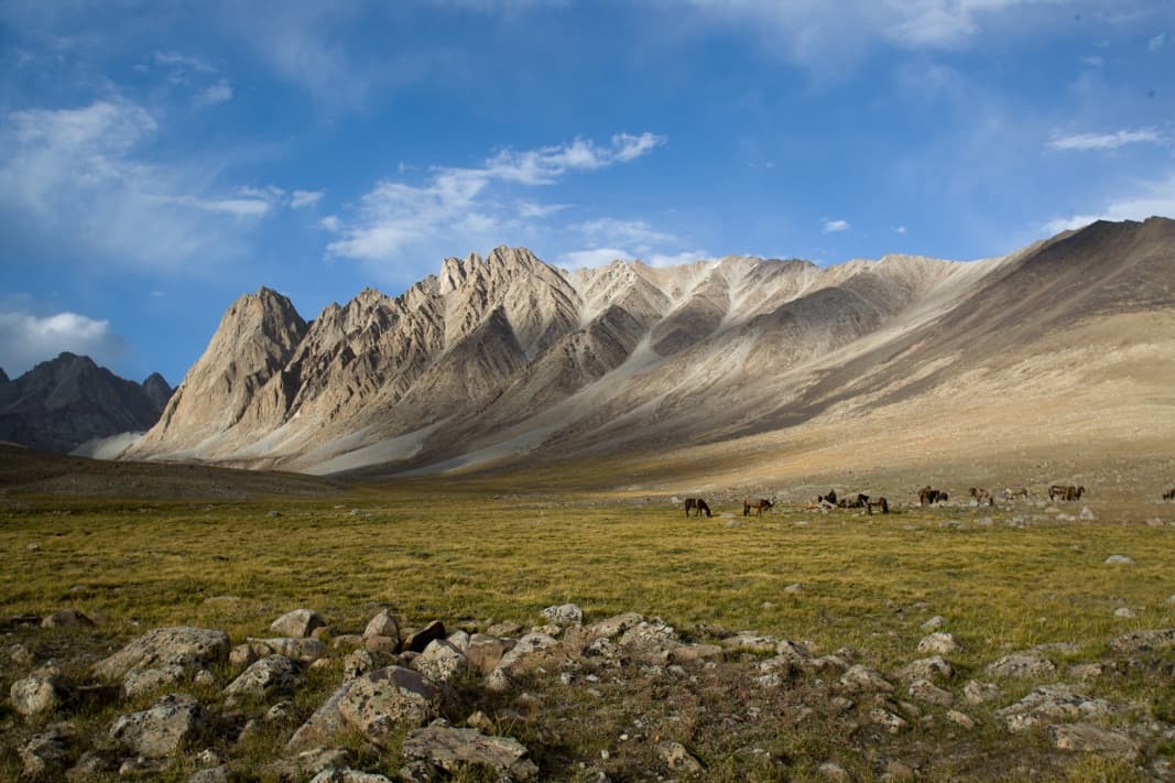 vassi afghanistan