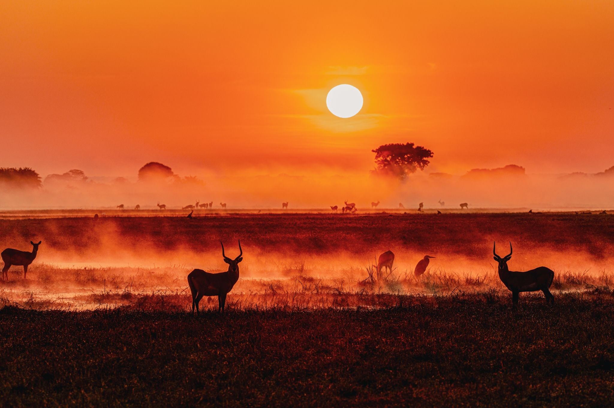 Zambia travel deeper