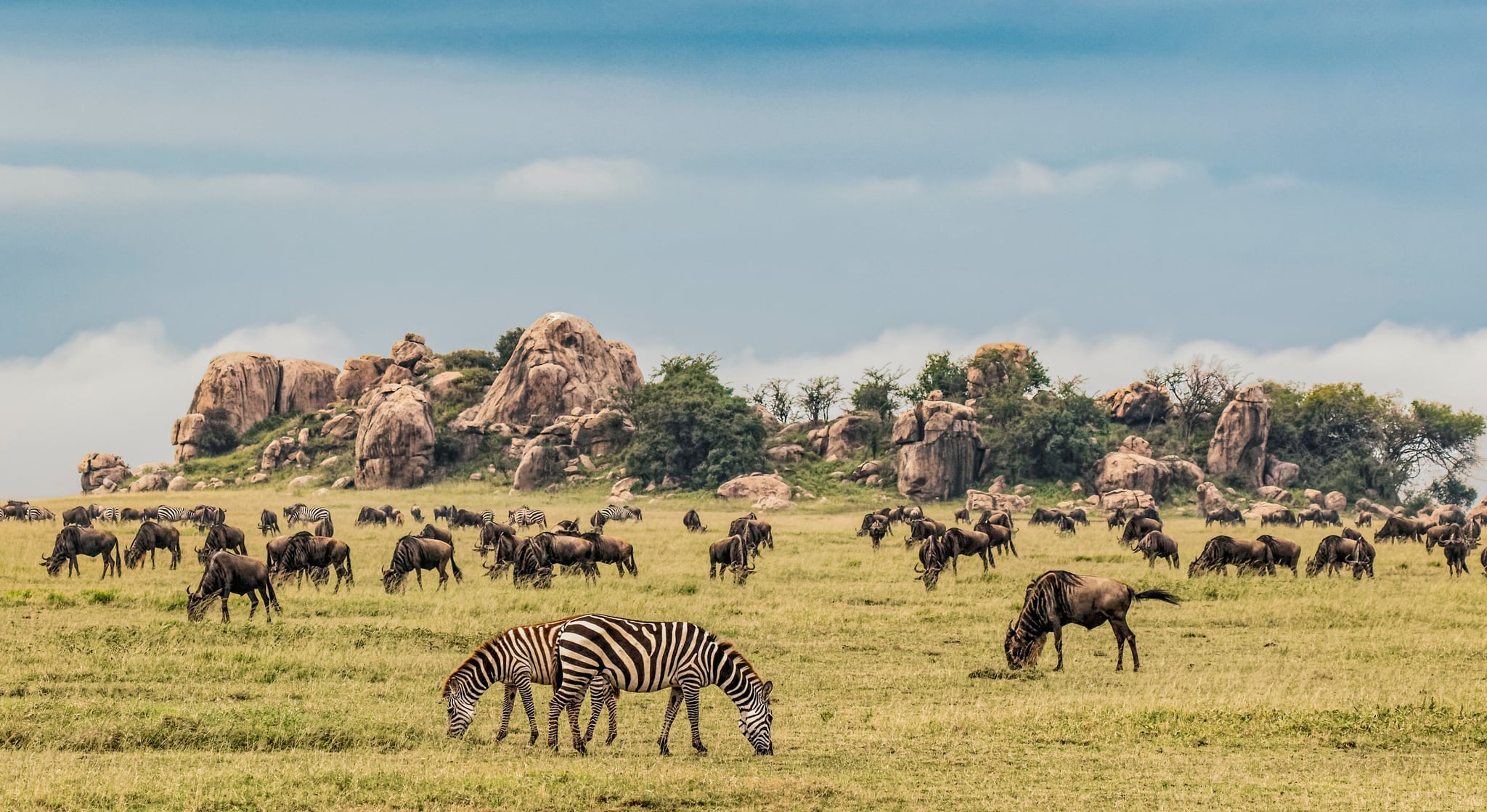 Serengeti National Park, Tanzania