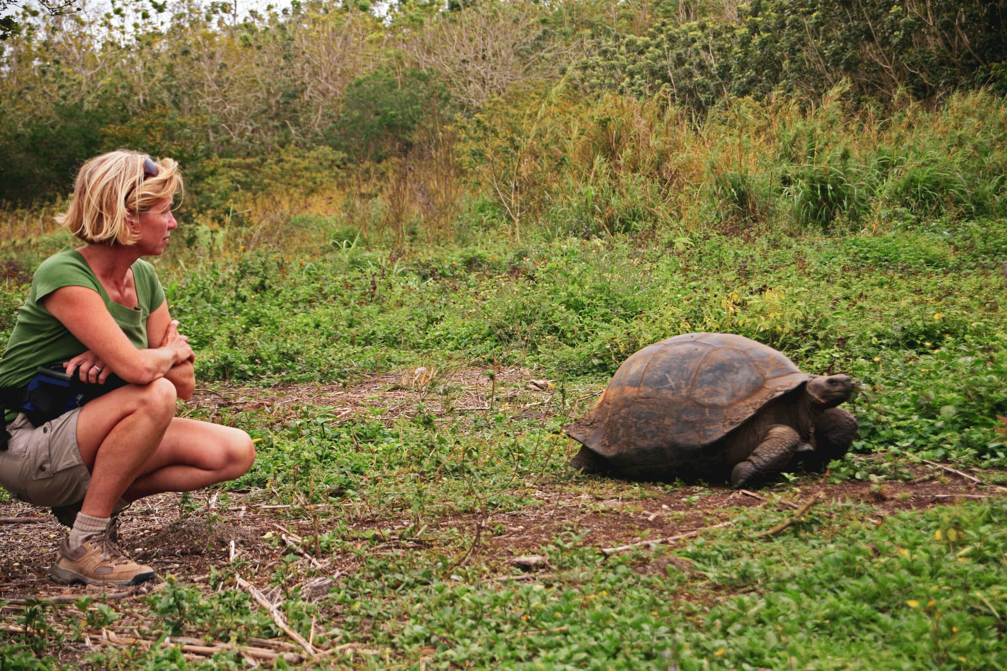 Private Charters in the Galápagos gallery 01 GalleryHero galapagos tortoise DanitaDelimont RM SA07 KWI0145 SuperRes KymriWilt