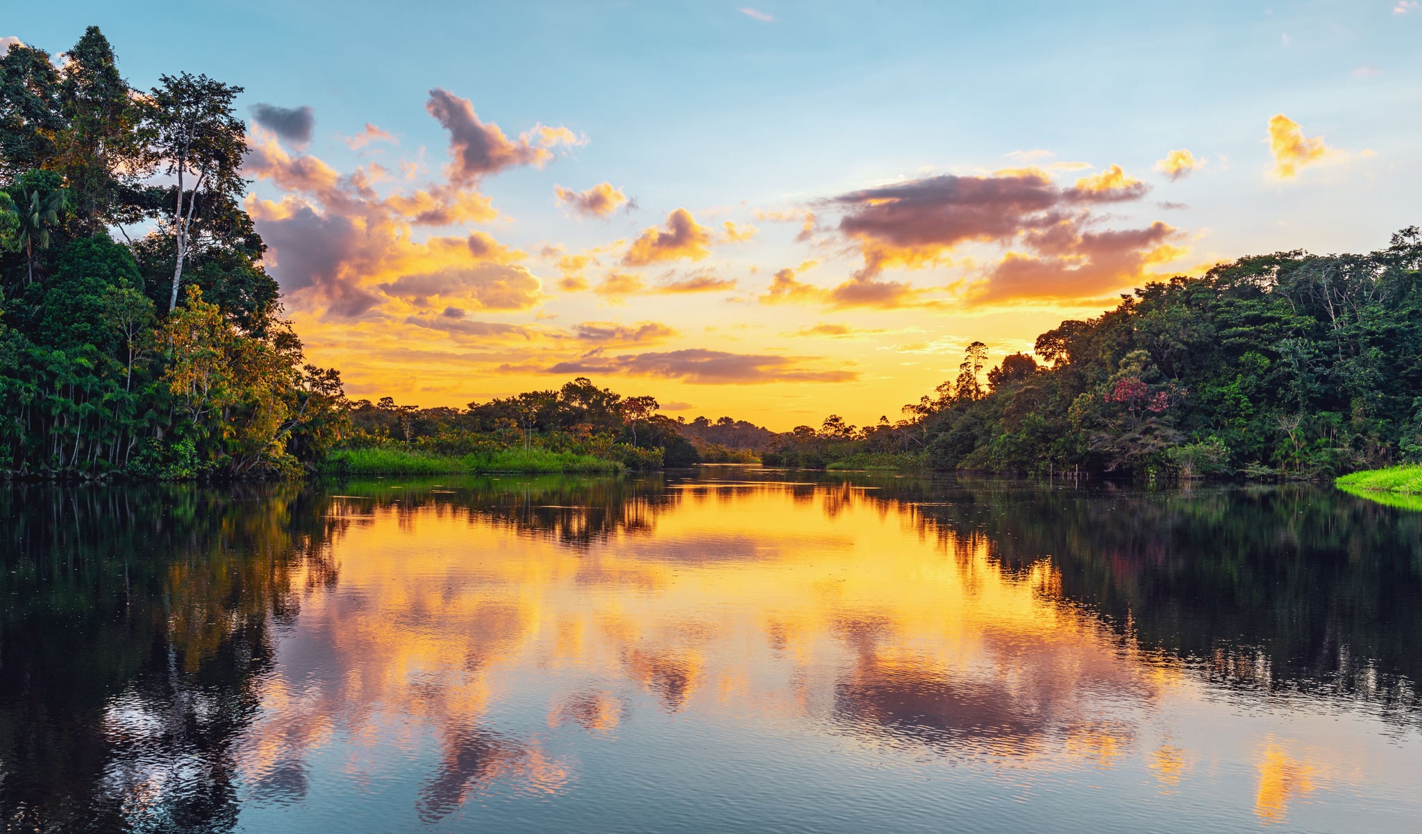 Amazon rainforest sunset, Ecuador