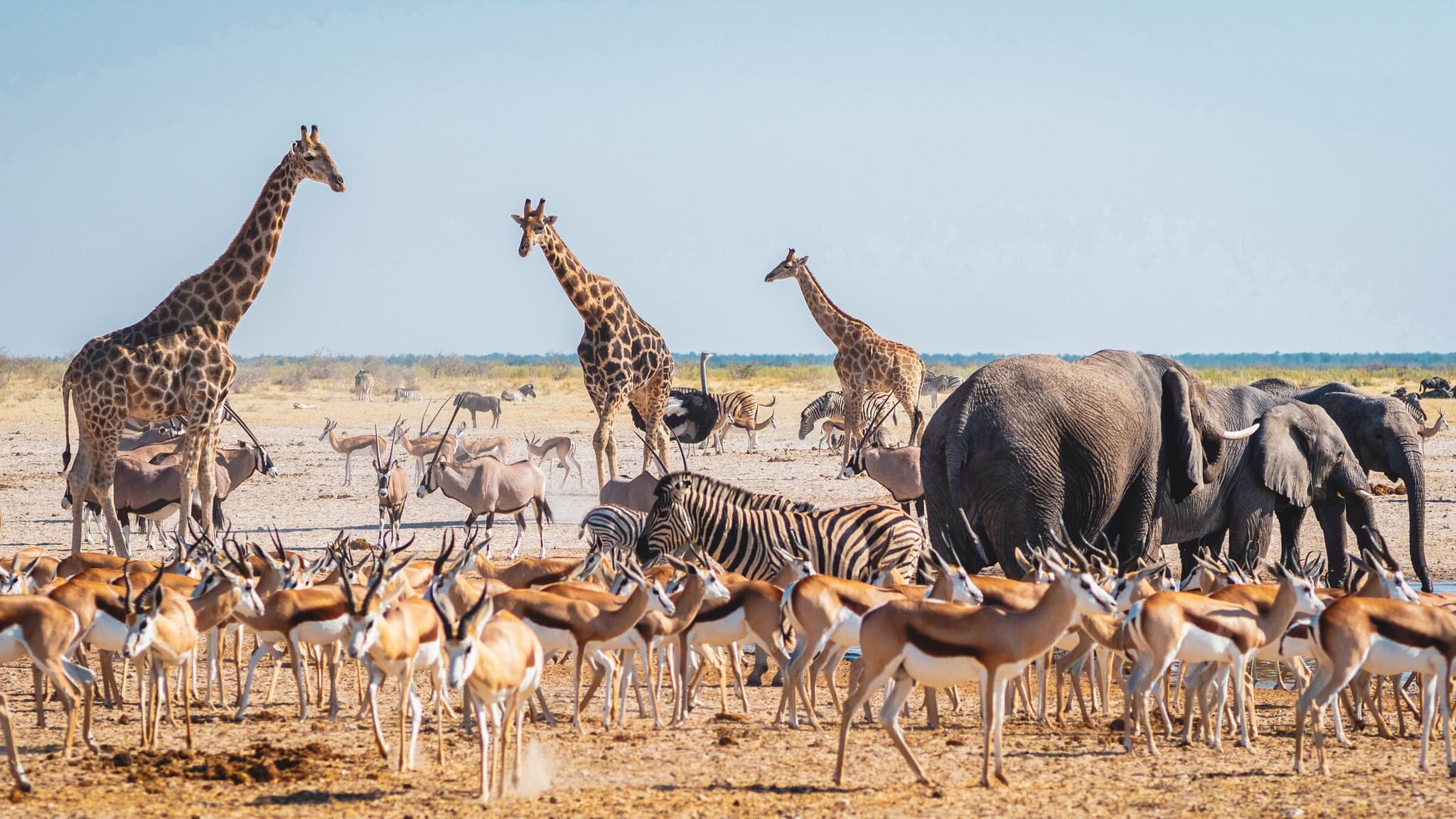 Namibia best time to visit