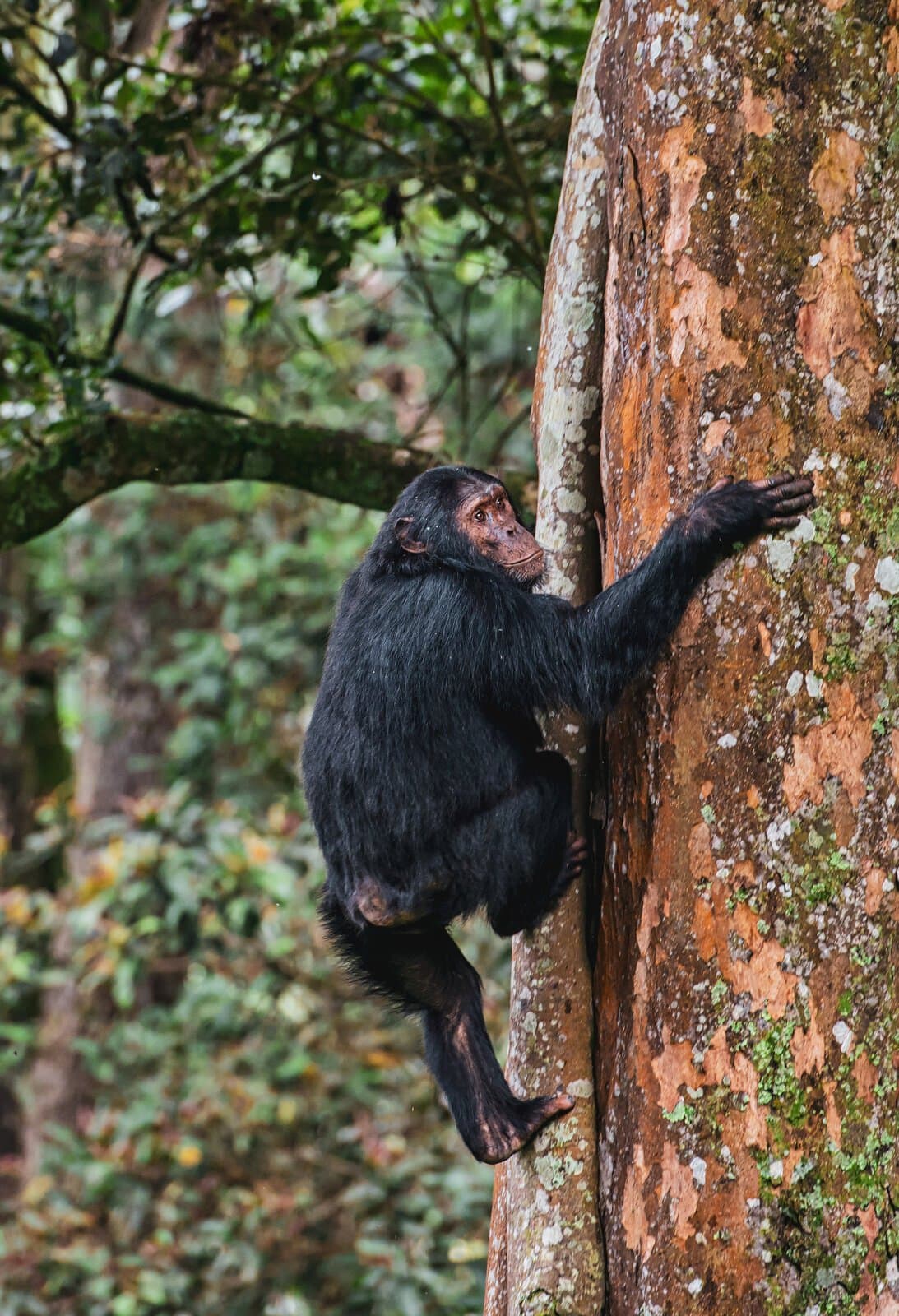 Rwanda best time to visit