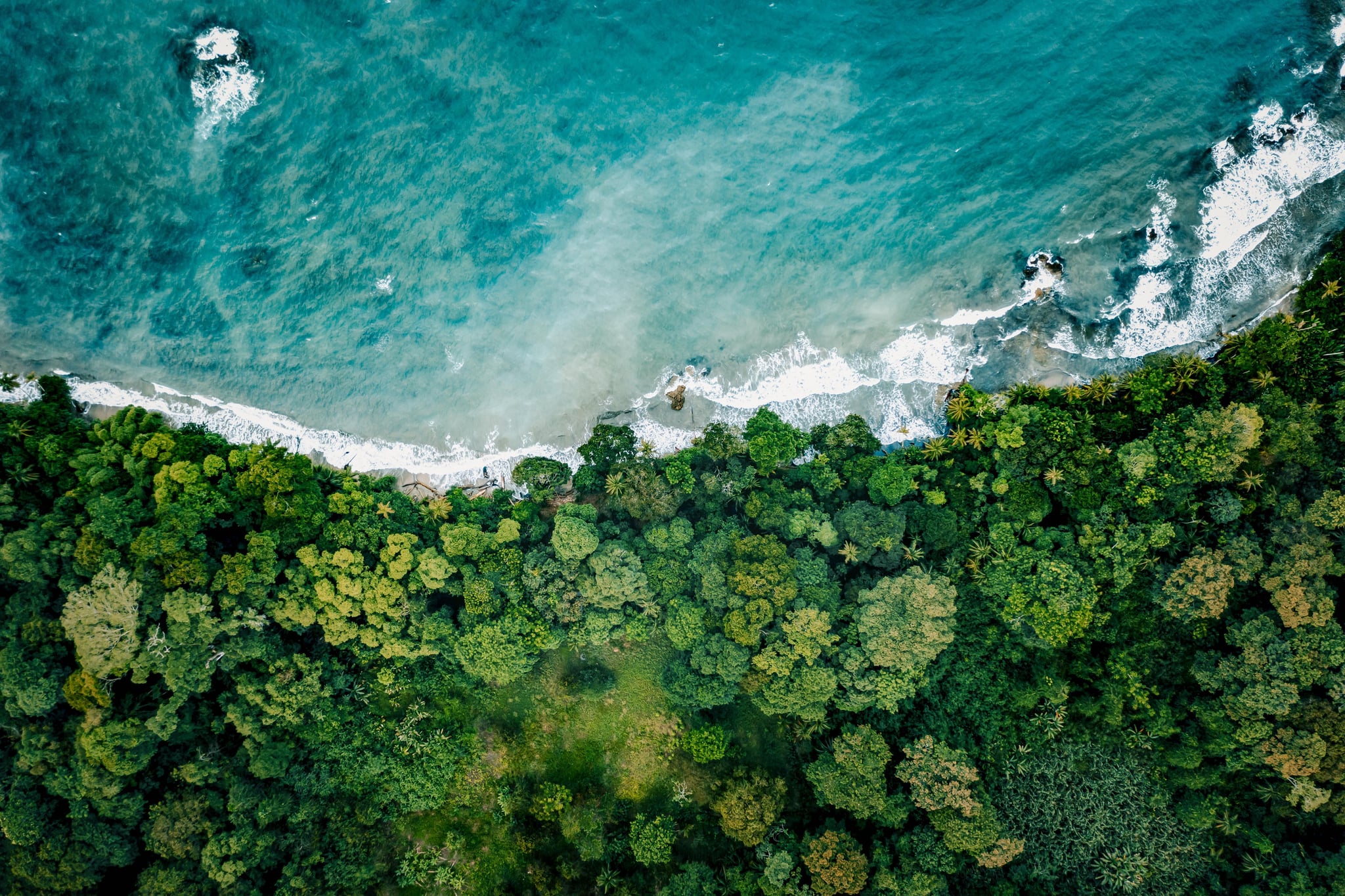 Aerial view of beach and trees in Costa Rica