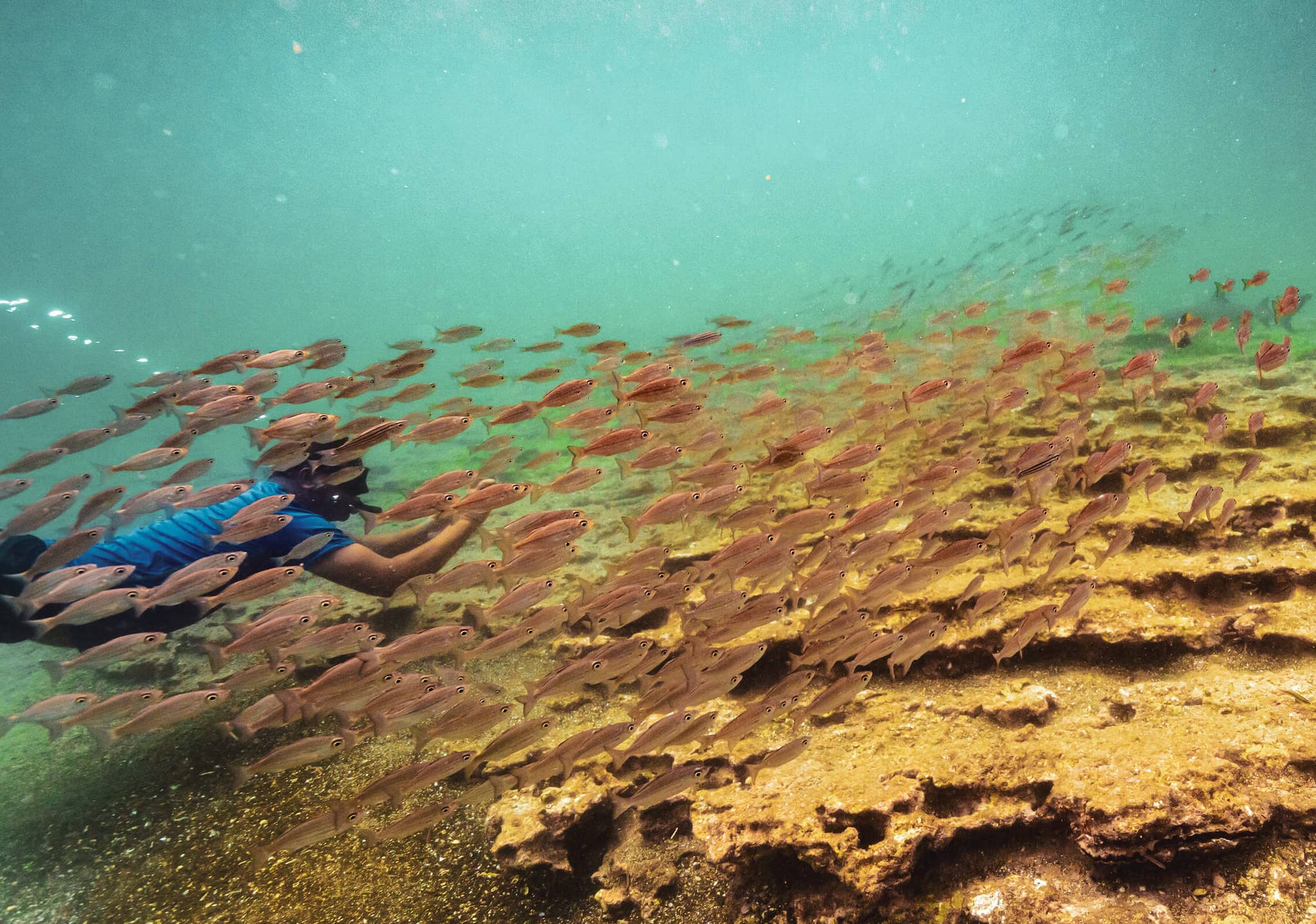 Galápagos: Exploring the Enchanted Islands gallery Gallery4 DanitaDelimont RF SA07 BJY0397 SuperRes 2 CathyandGordonIllg JaynesGallery