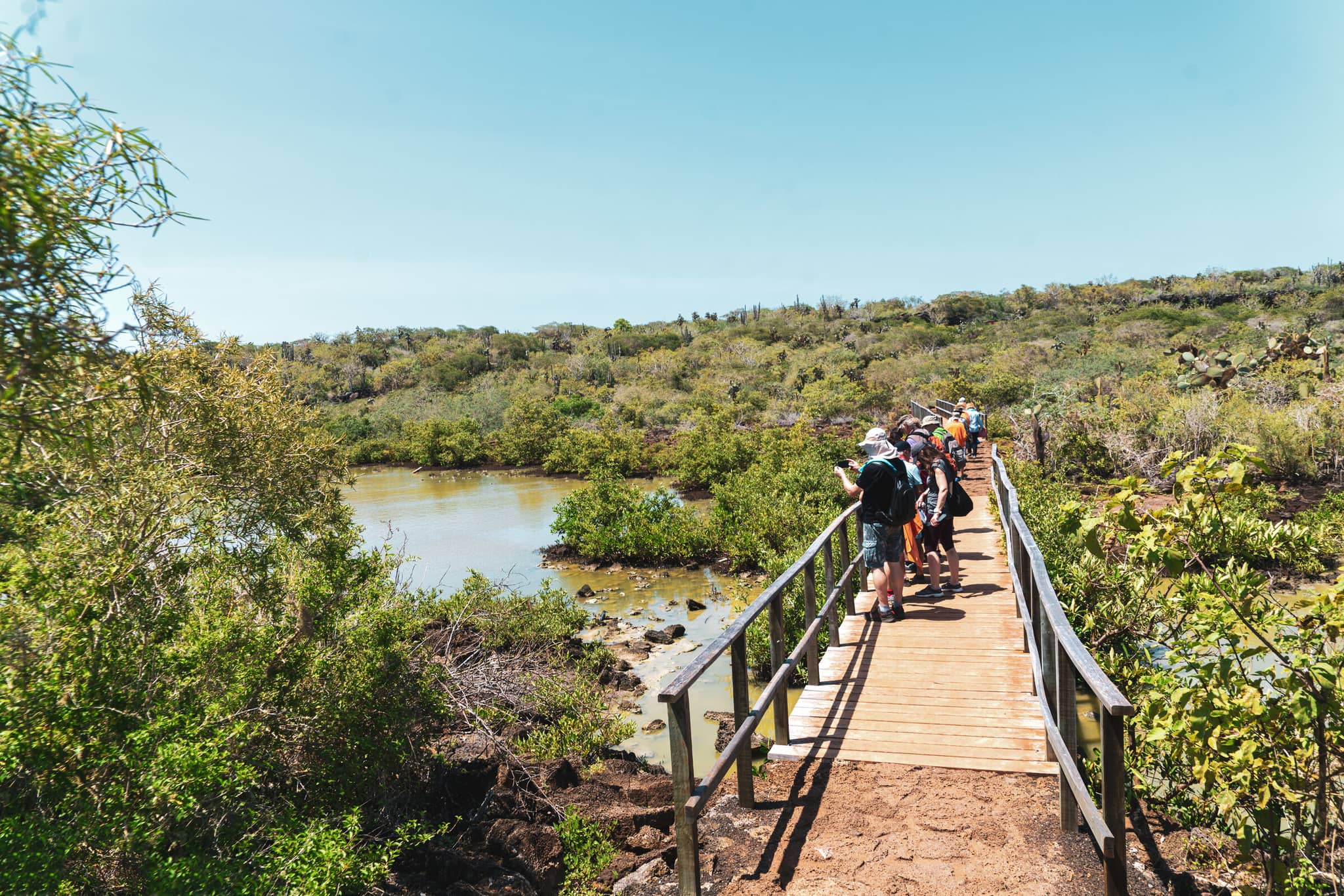 Private Charters in the Galápagos gallery Gallery4 Galapagos GettyImages 1212186209 DavorLovincic