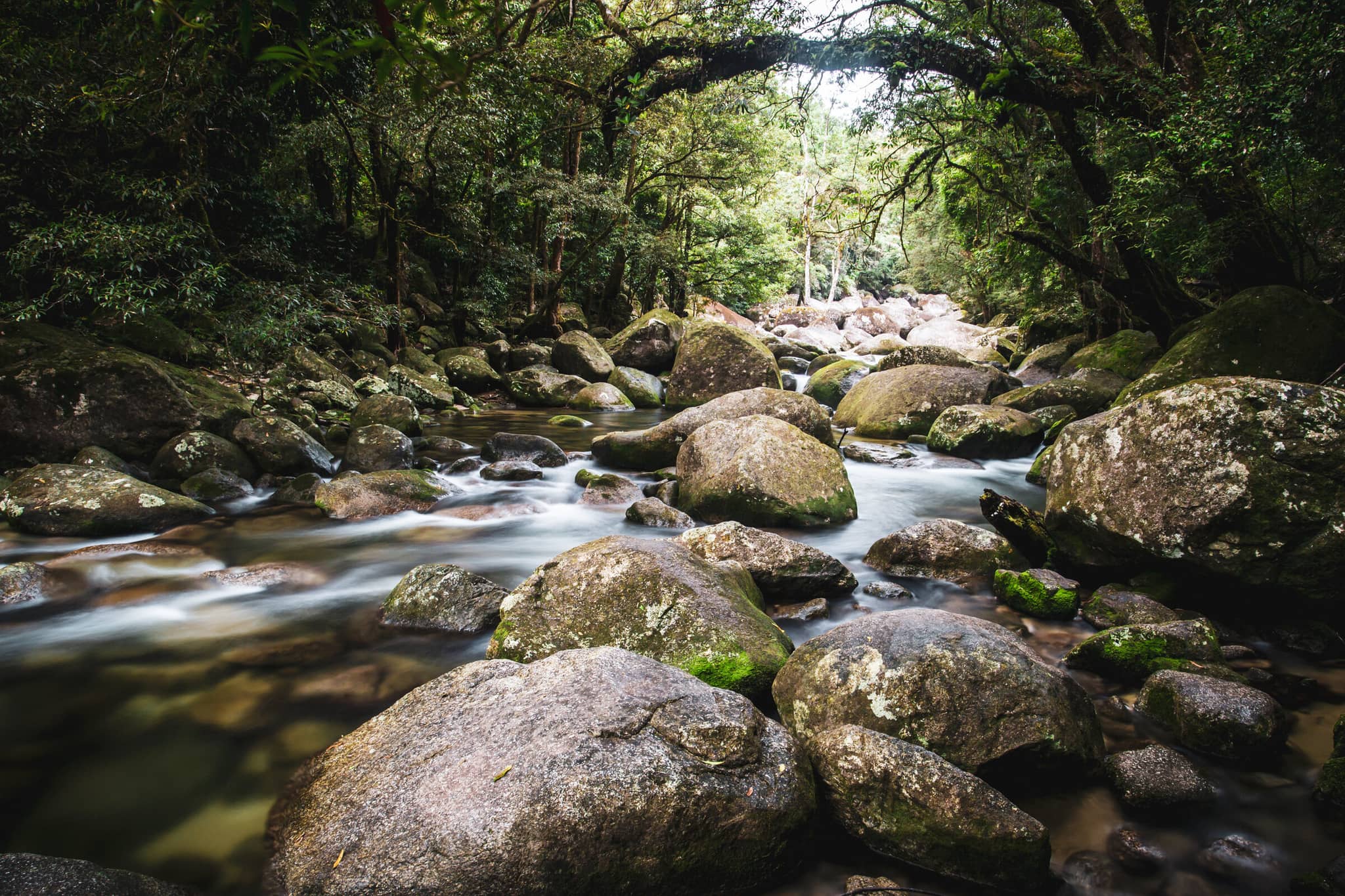 Australia gallery Gallery5 mossman gorge rapids australia AdobeStock 118626466