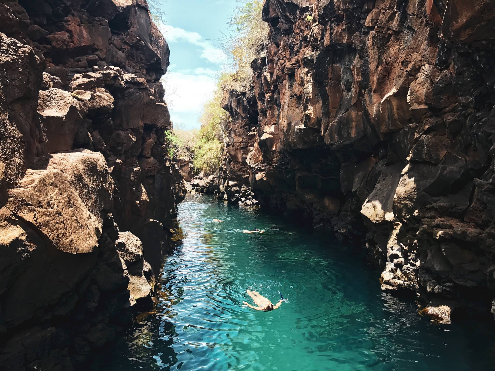 A Galápagos Safari gallery Gallery5 Galapagos GettyImages 896682928 FernandoEspinosa