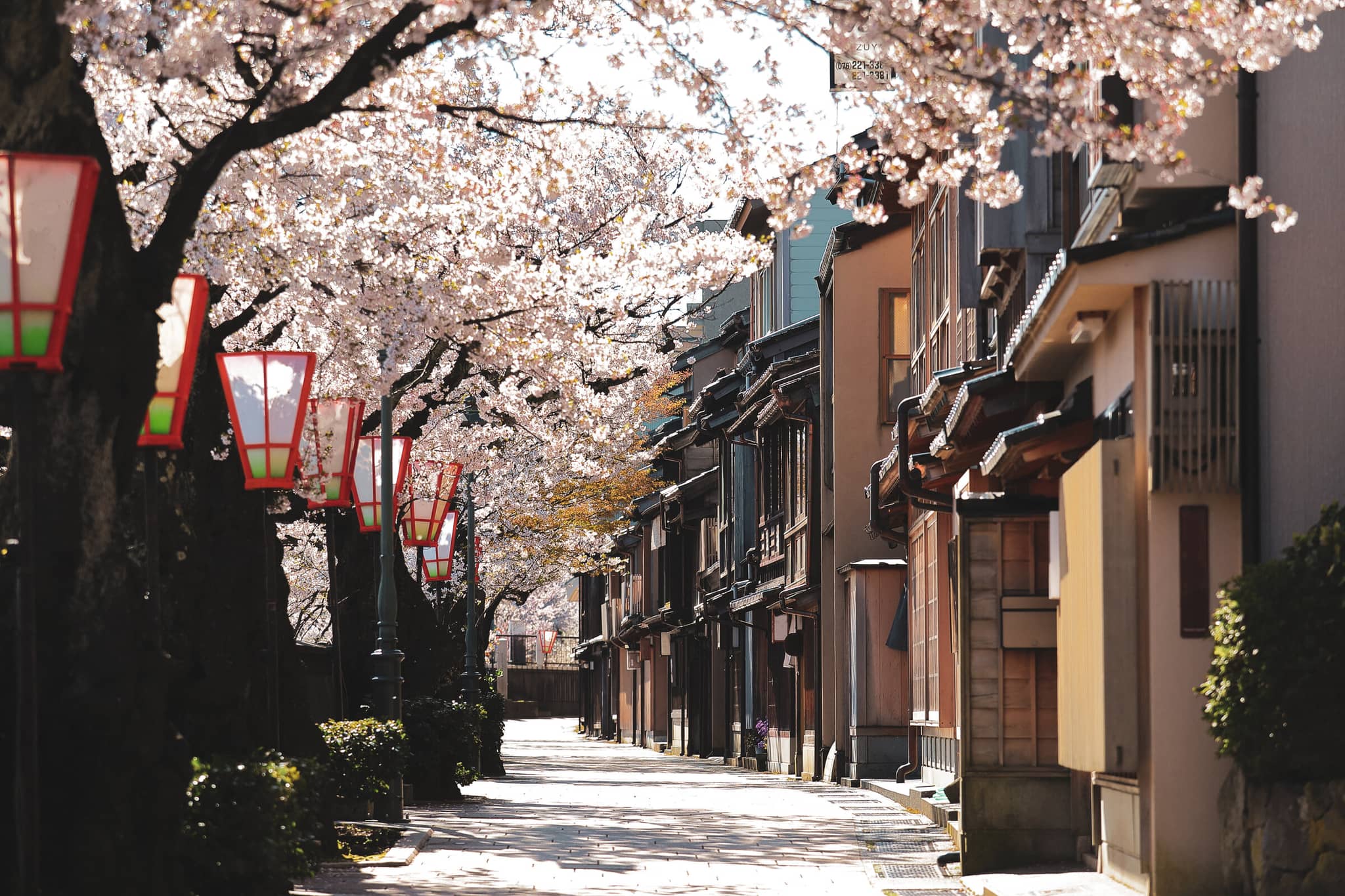 Essential Japan gallery Gallery5 KanazawaCherryBlossoms Japan GettyImages 1143258860