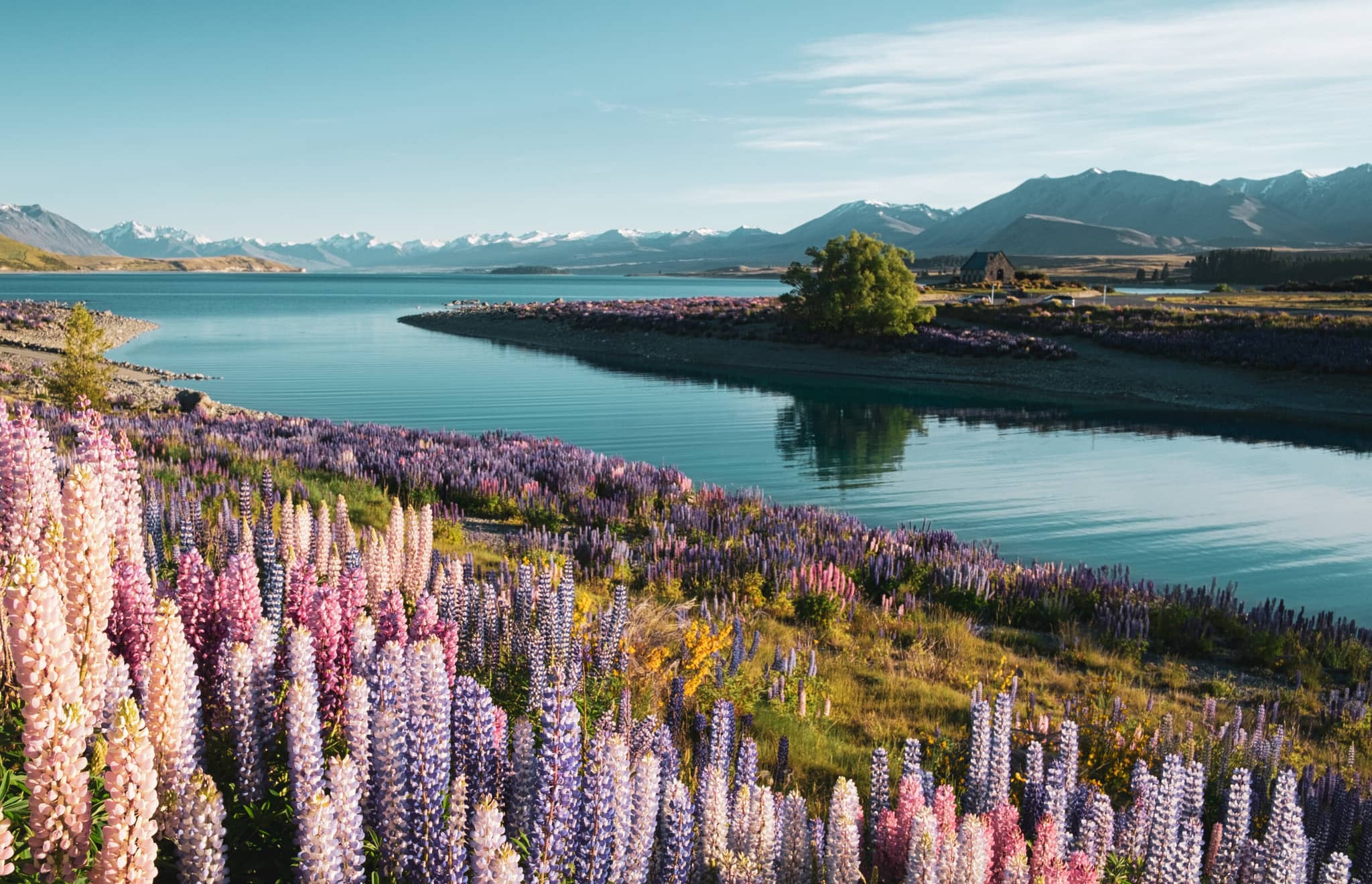 Adventuring through New Zealand gallery Gallery5 LakeTekapo NewZealand GettyImages 1058718892 SimonBradfield