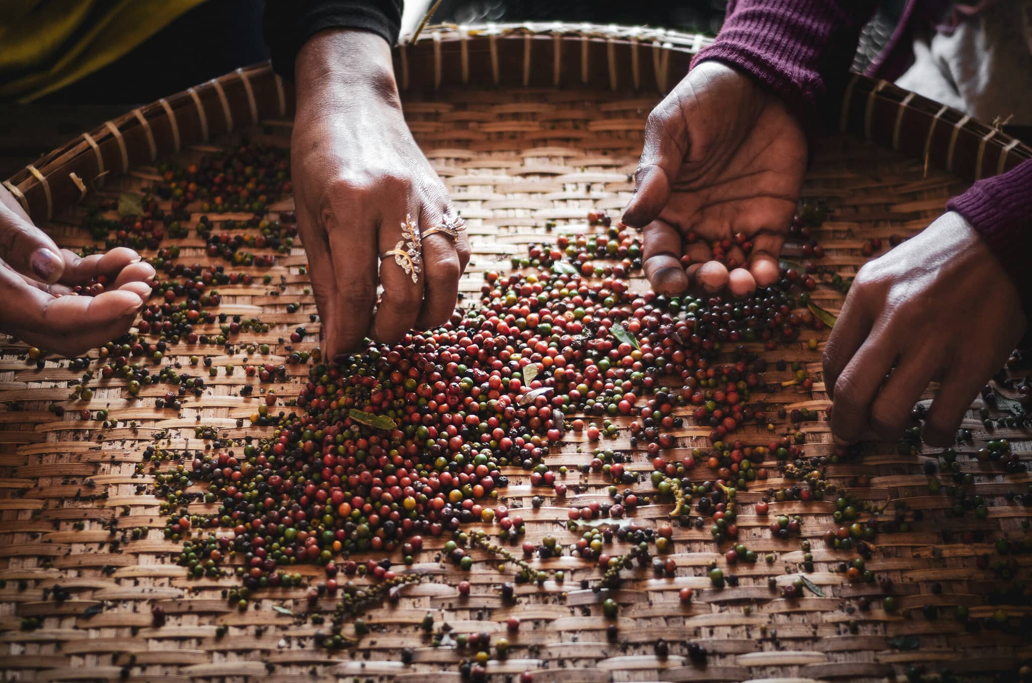 Cambodia: The Road Less Traveled gallery Gallery5 Pepper Cambodia GettyImages 1136779051 JackMalipan