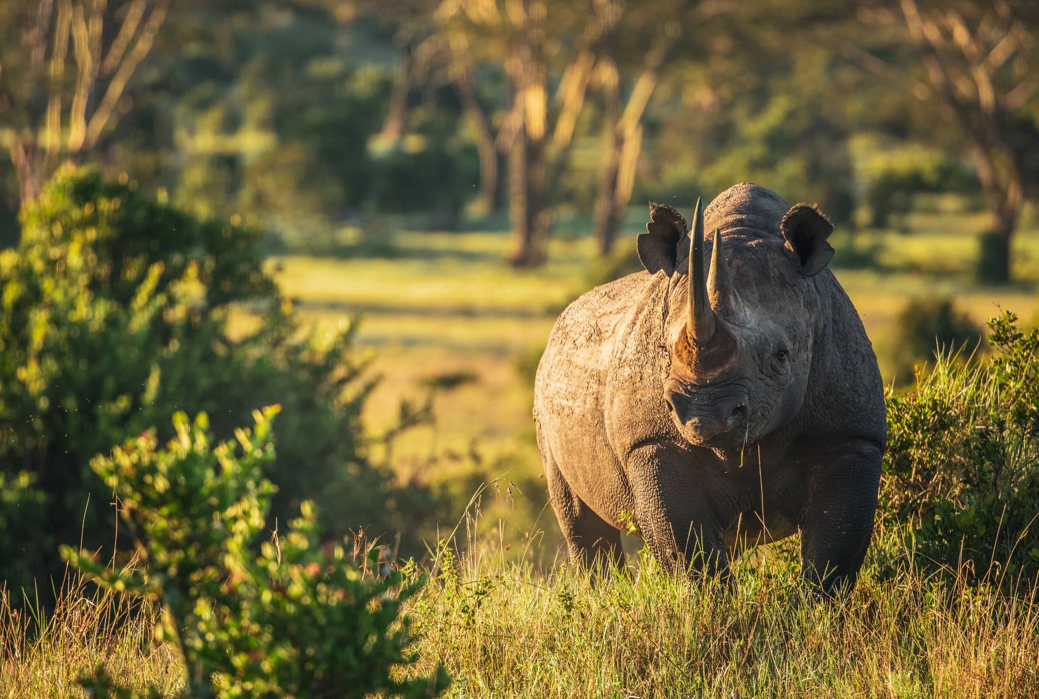 Kenya Explorer gallery Gallery Africa Kenya Borana © Shaun Mousley