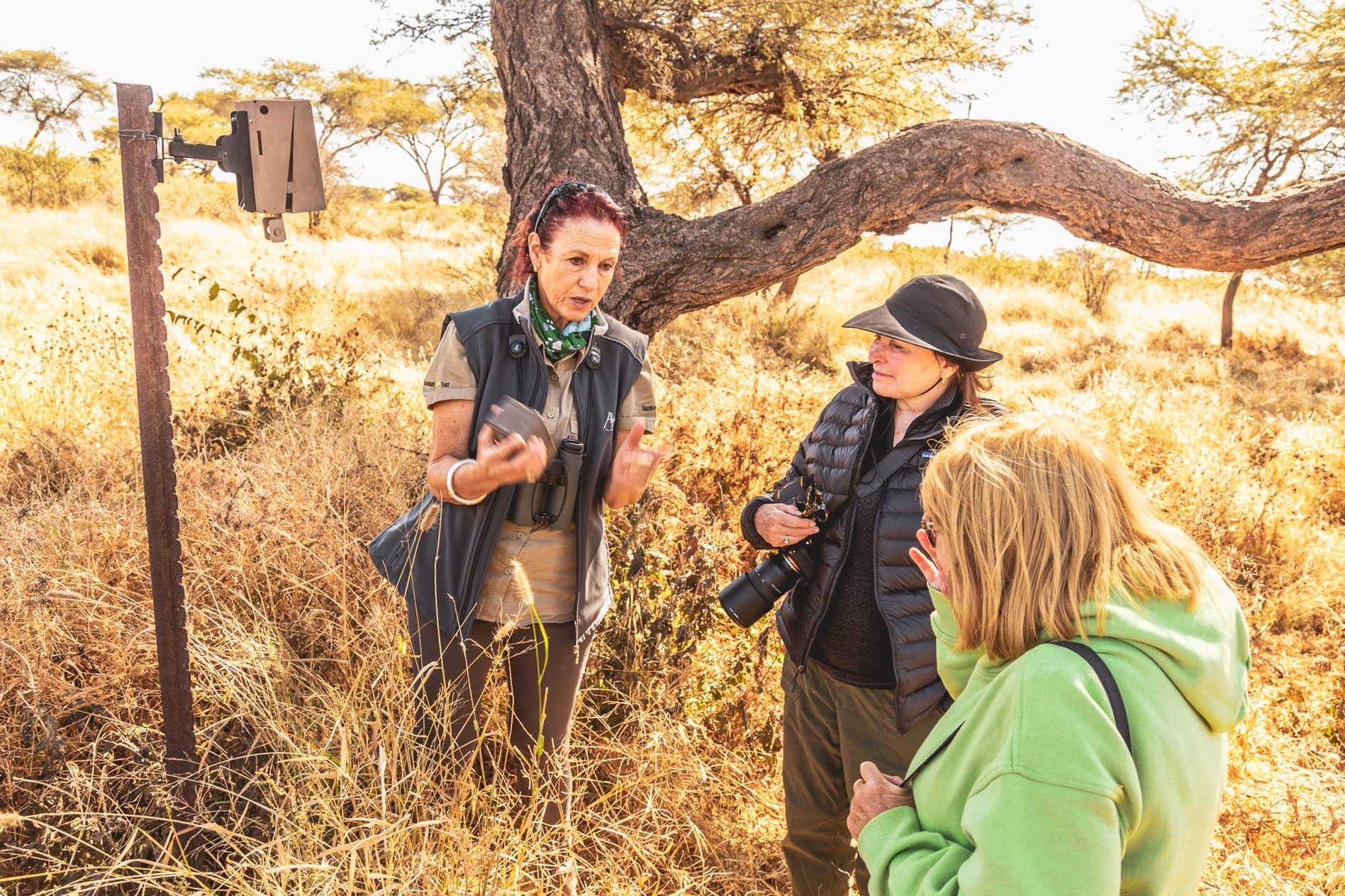 Namibia’s Wild Wonders gallery Gallery Africat education Ultimate Safaris