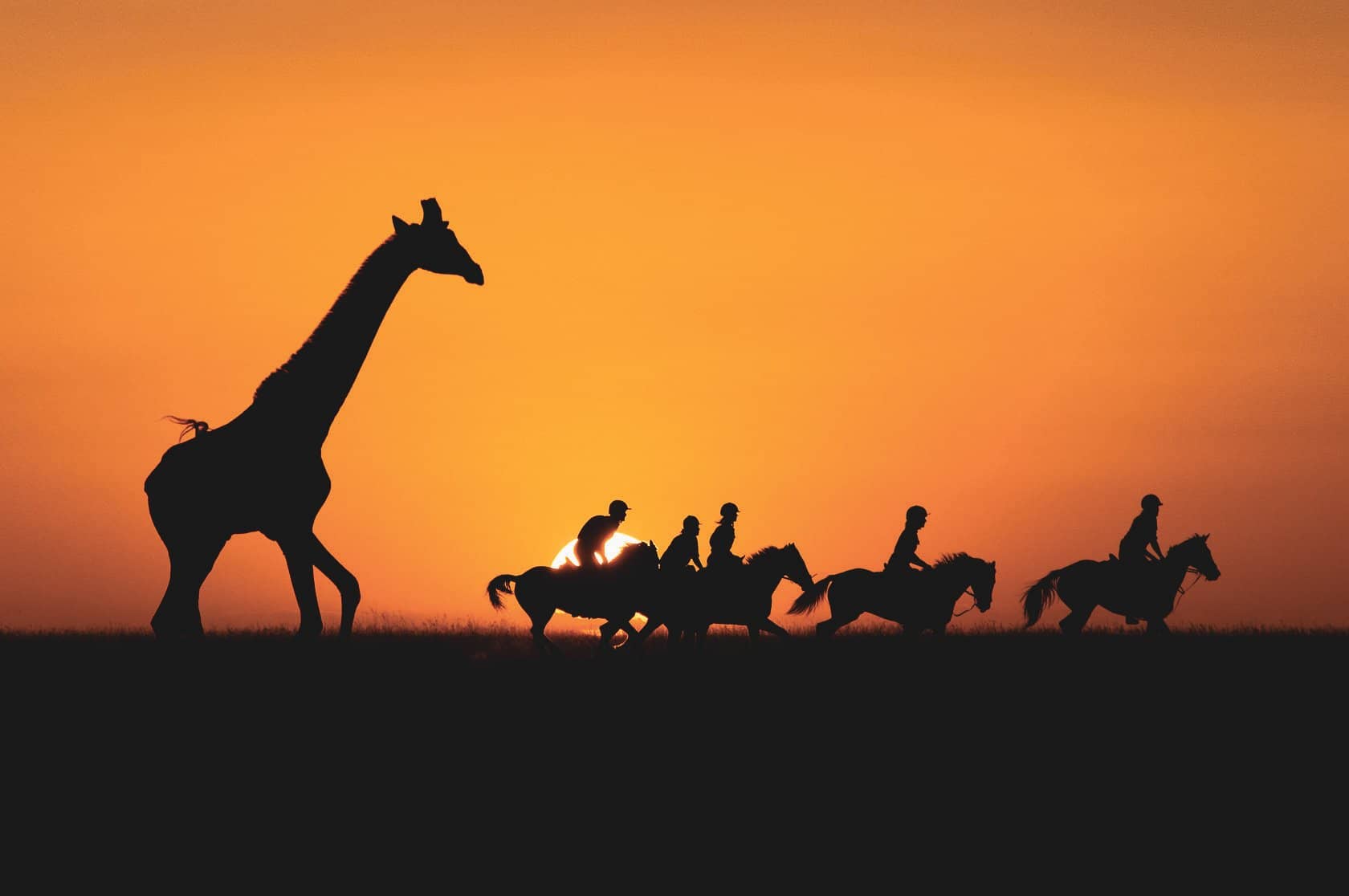 Kenya: Essence of a Continent gallery Gallery Kenya ChyuluHills Great Plains Conservation