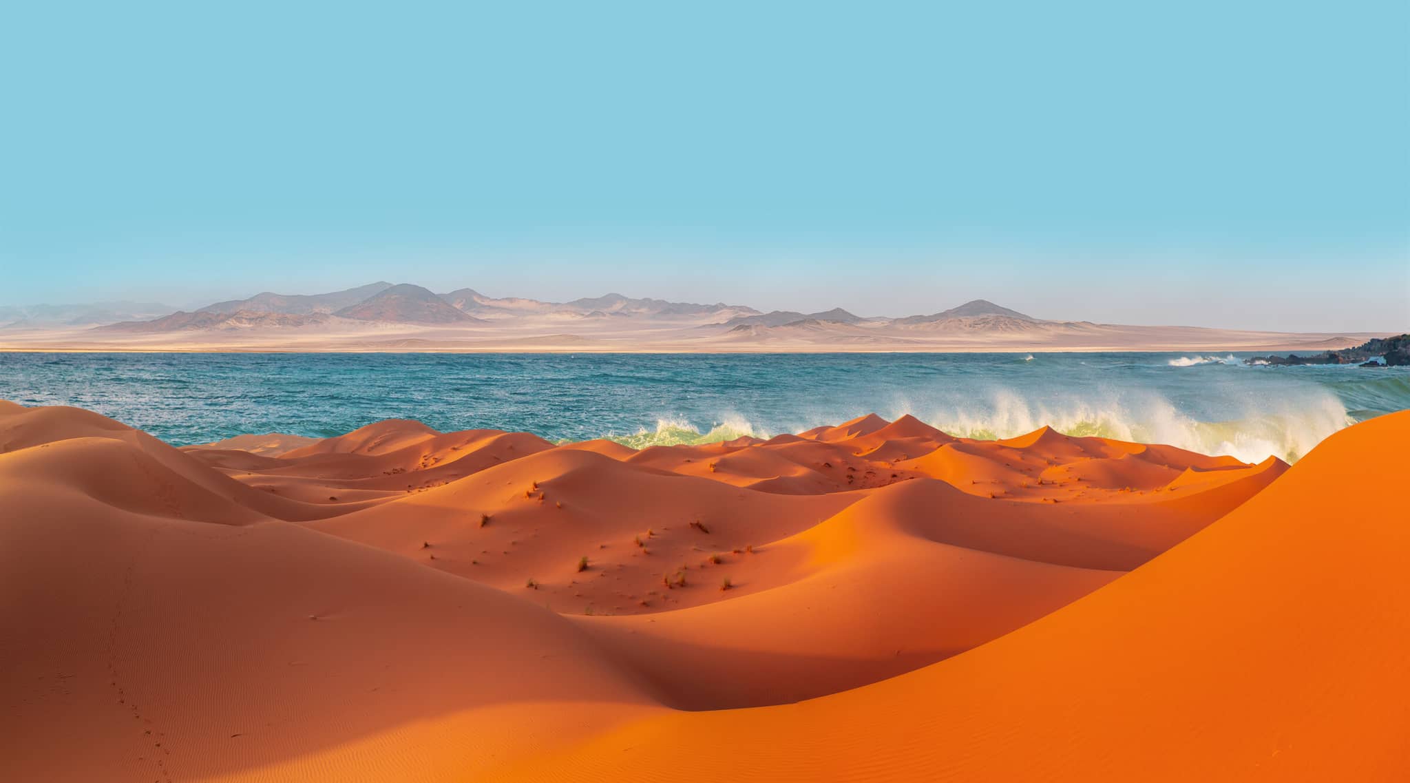 Dunes & Wildlife of Namibia gallery Gallery Namibia Skeleton Coast AdobeStock 966983598