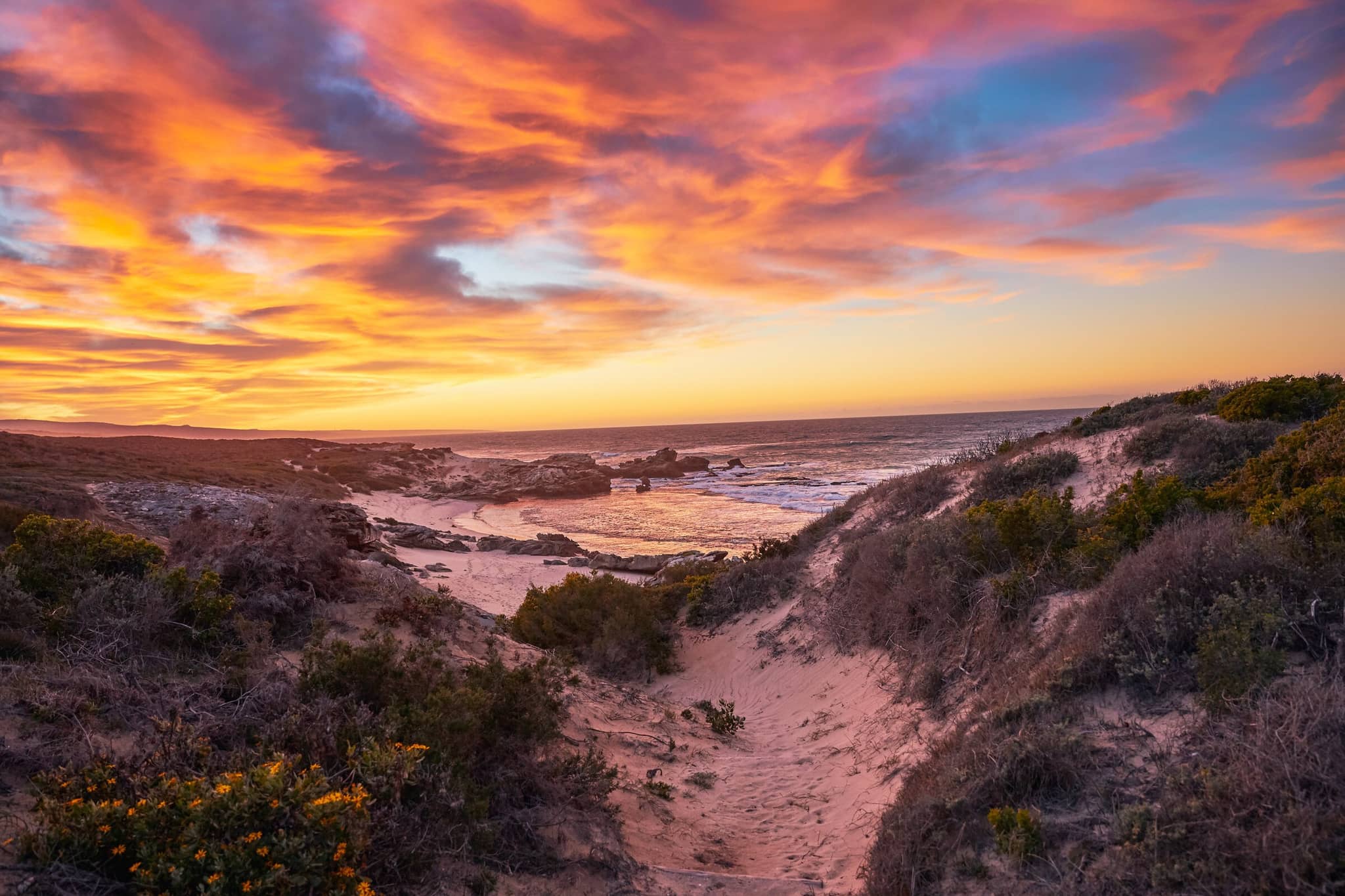 The Many Worlds of South Africa gallery Gallery South Africa Morukuru Family De Hoop Sunrise on the beach
