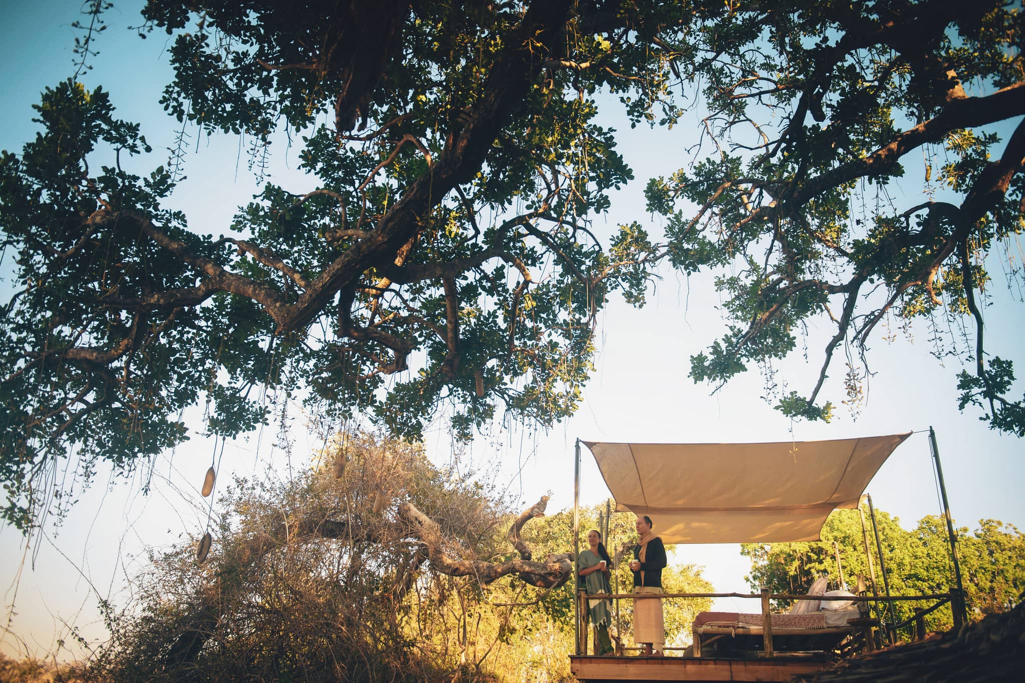 Southern Tanzania’s Wildlife Frontier gallery Gallery Tanzania Kigelia Ruaha star bed Nomad