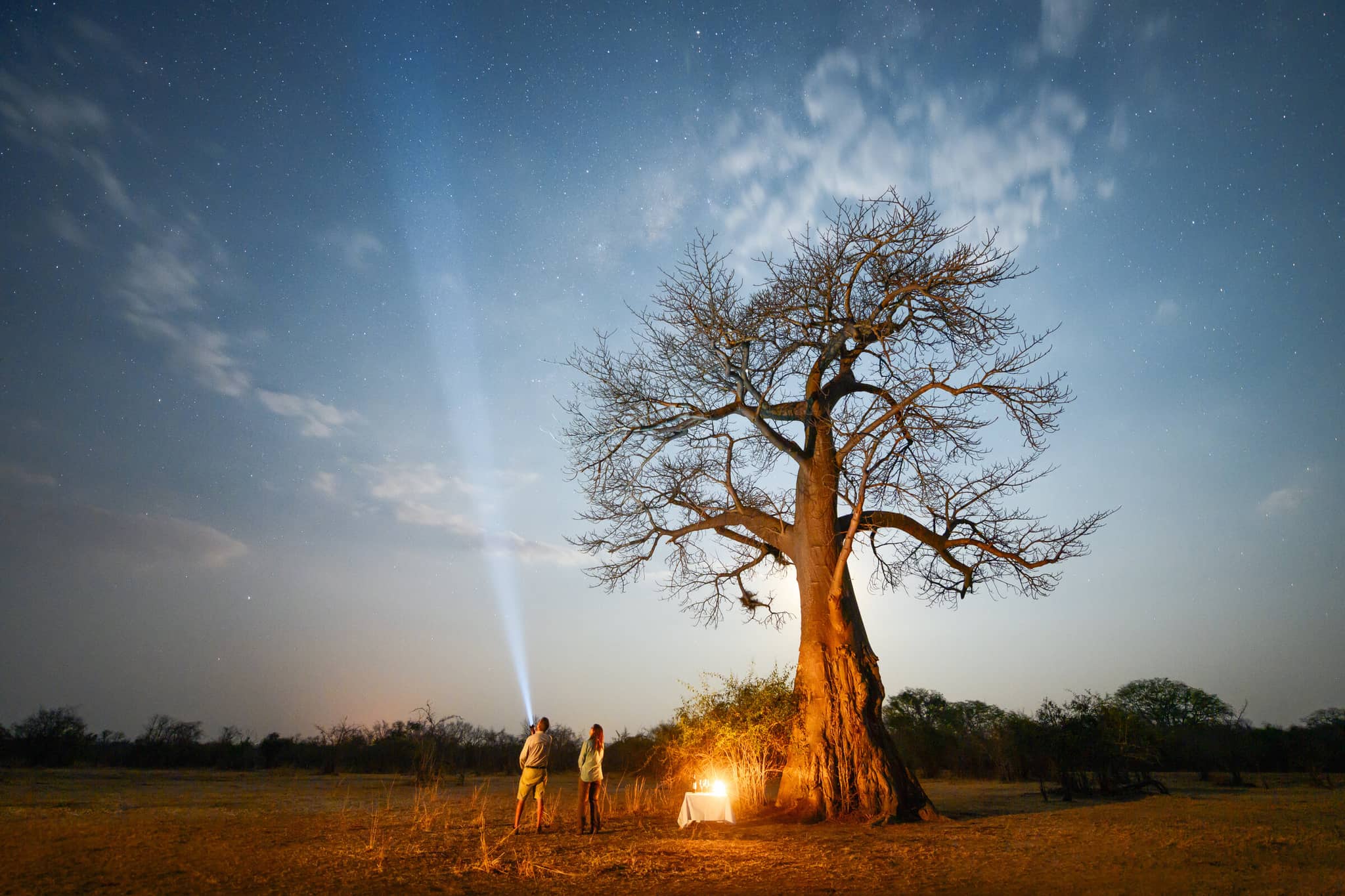 Wild Zambia gallery Gallery Zambia M.van.Oosten ZAM 190904 2529 Edit Chiawa Safaris