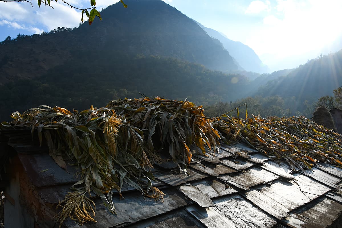 India Himalayas Trek Jenji Village Husk Drying on Roof