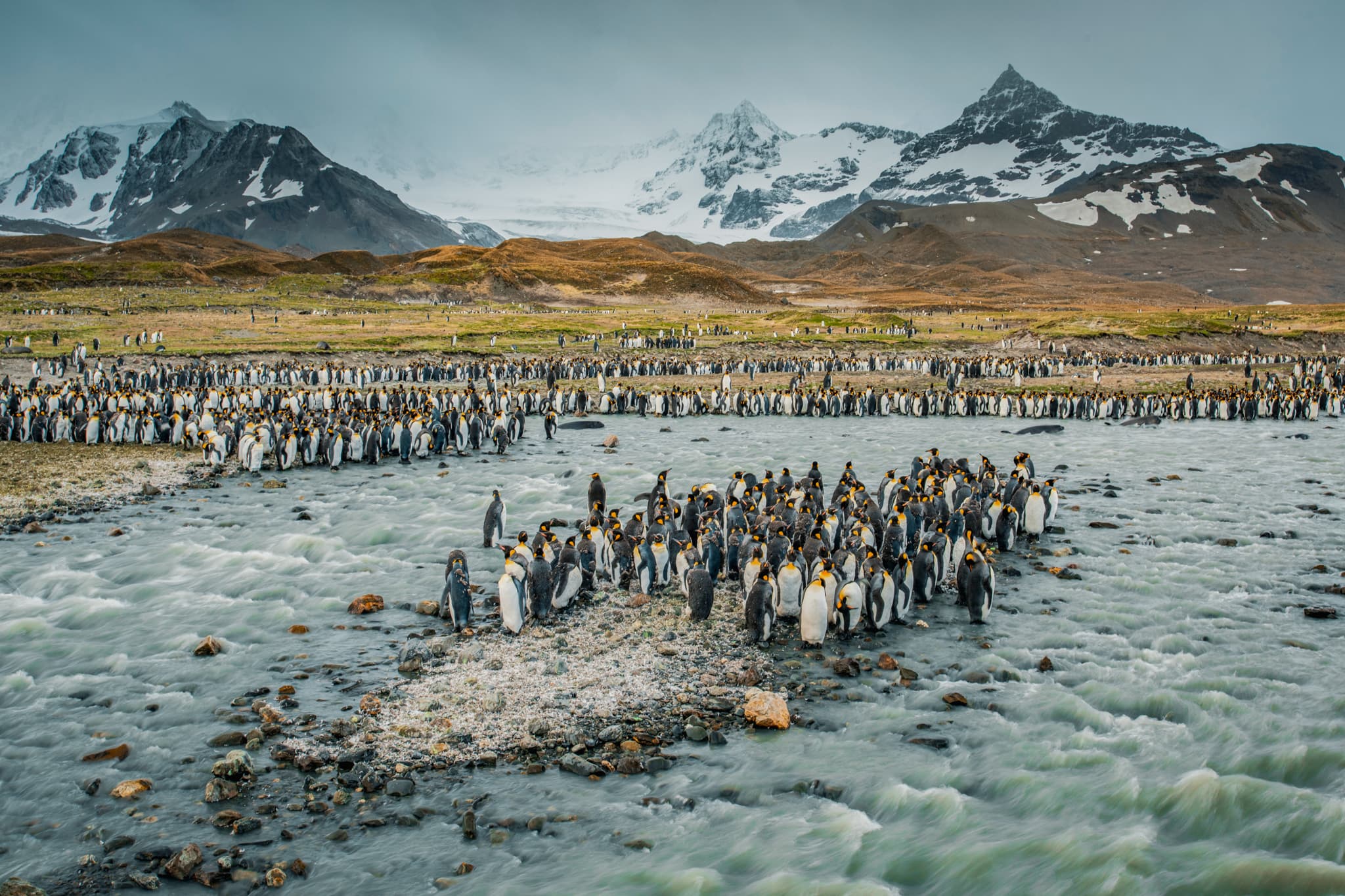 South Georgia Island