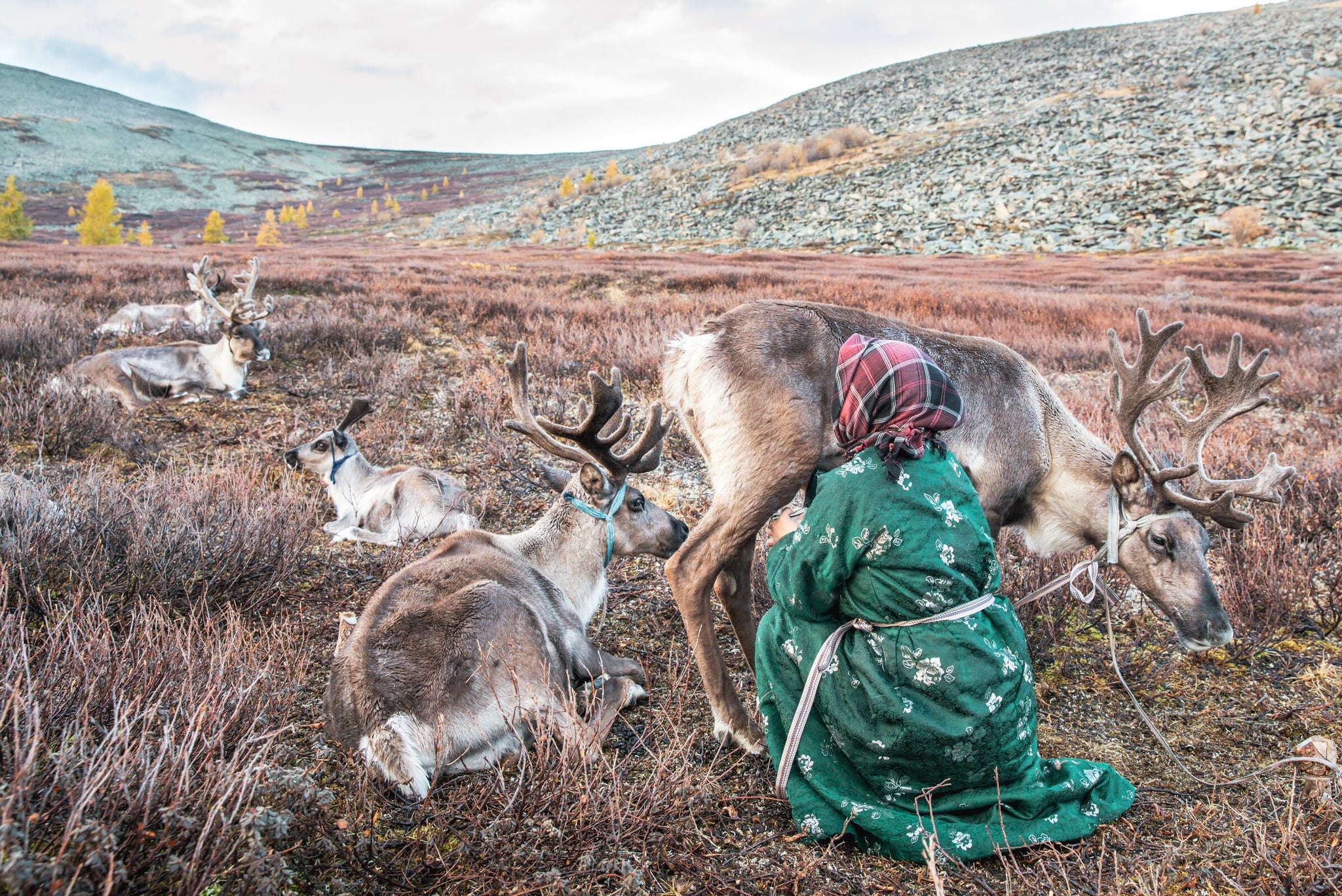 Mongolia travel deeper