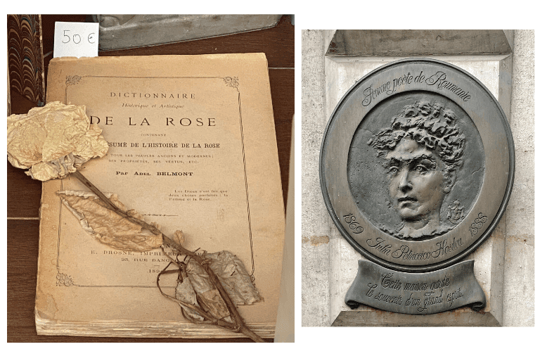 Untitled design 6 e1589590469559