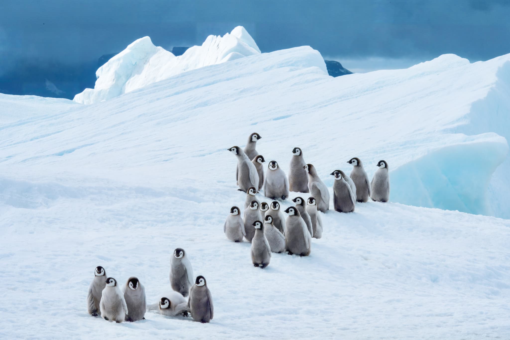 Antarctica best time to visit