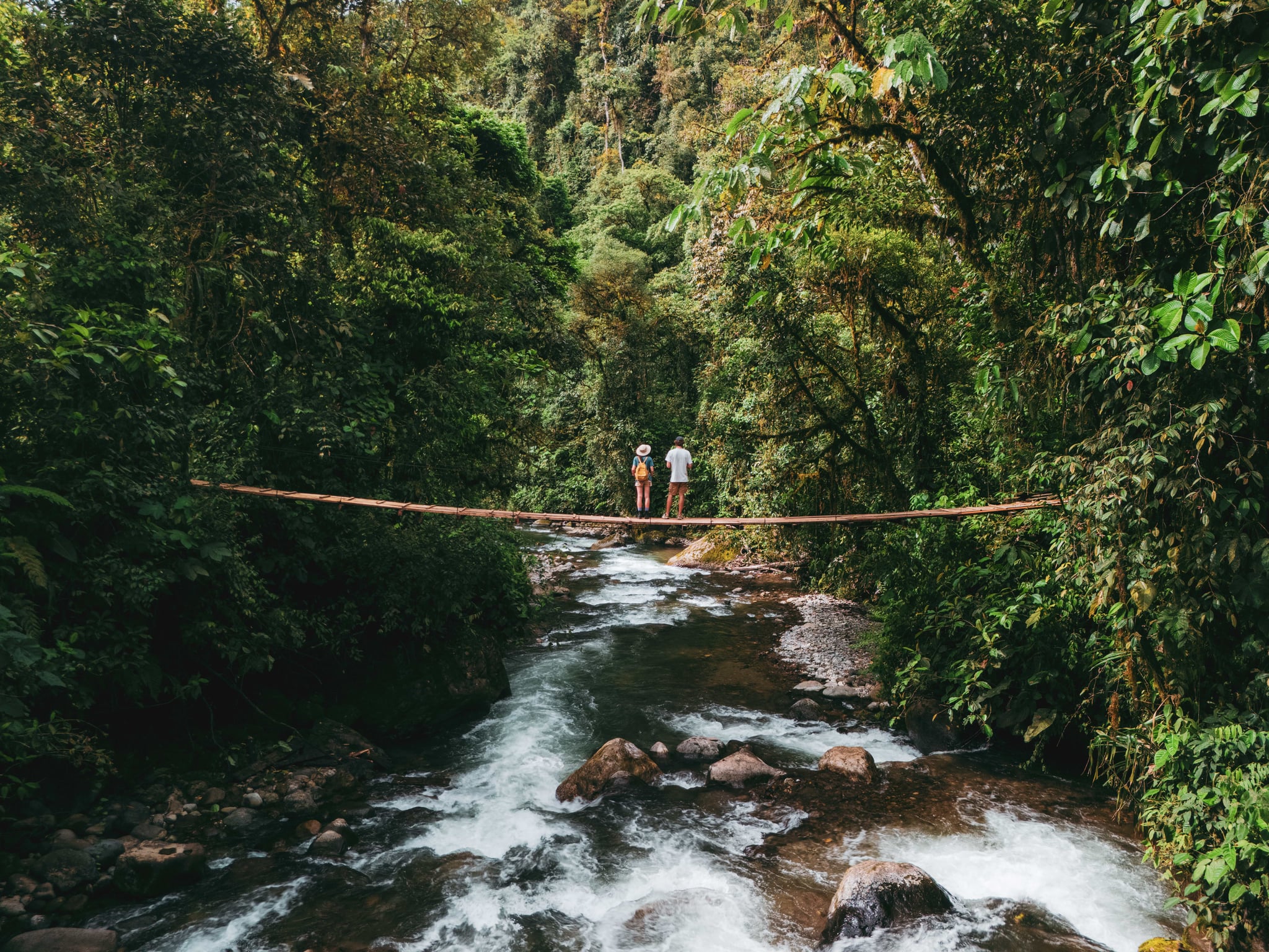 Aerial view of man and woman on bridge over river in the jungles in Mindo, place of bird watching in Ecuador
