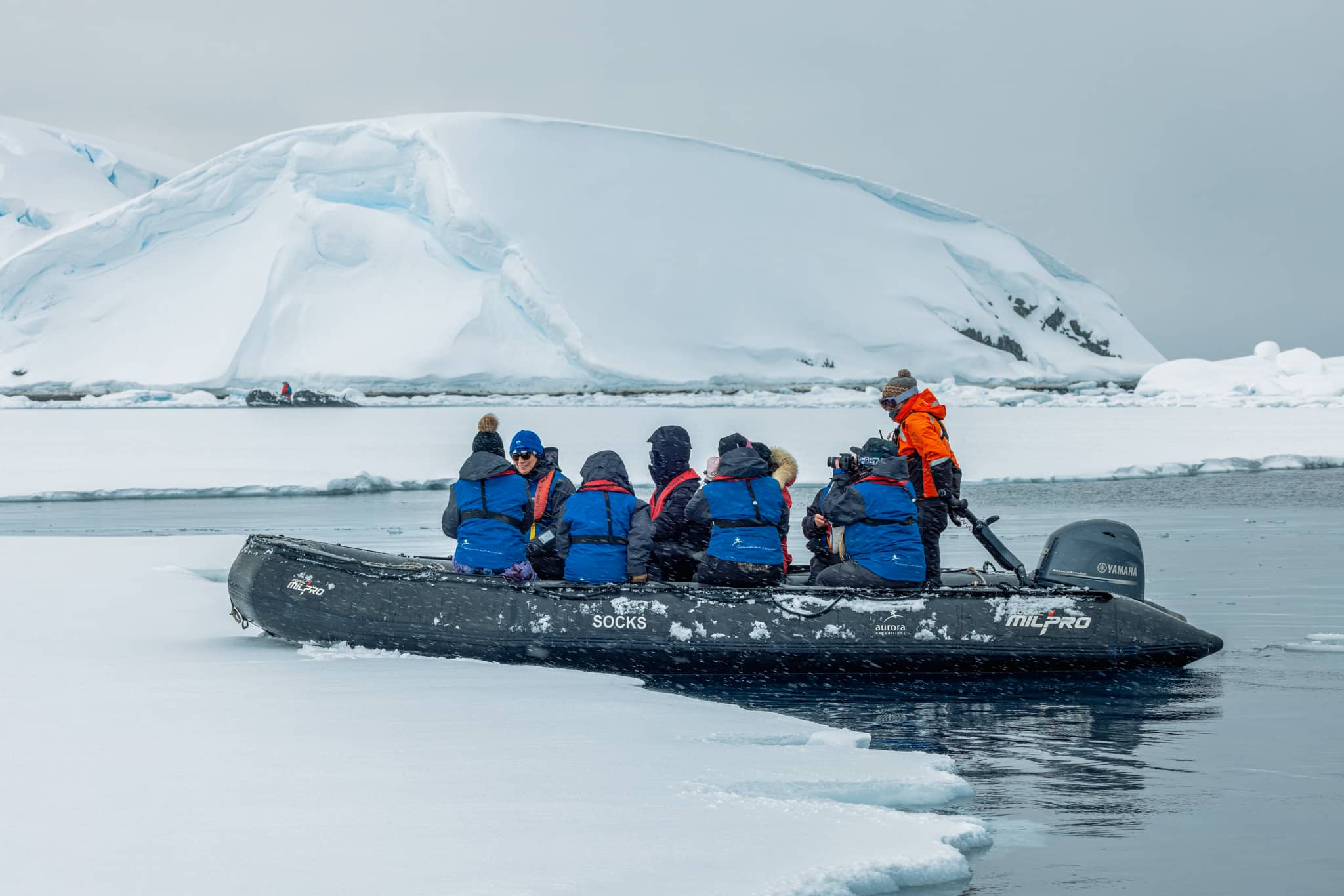 Zodiac Cruising, Enterprise Island, Antarctica