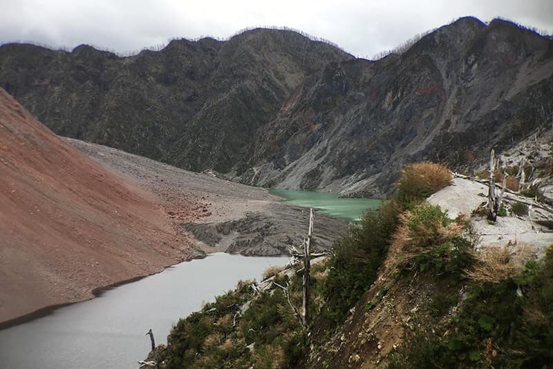 chile route of parks pumalin volcan chaiten hike landscape