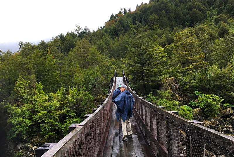 chile route of parks queulat hanging glacier hike foot bridge