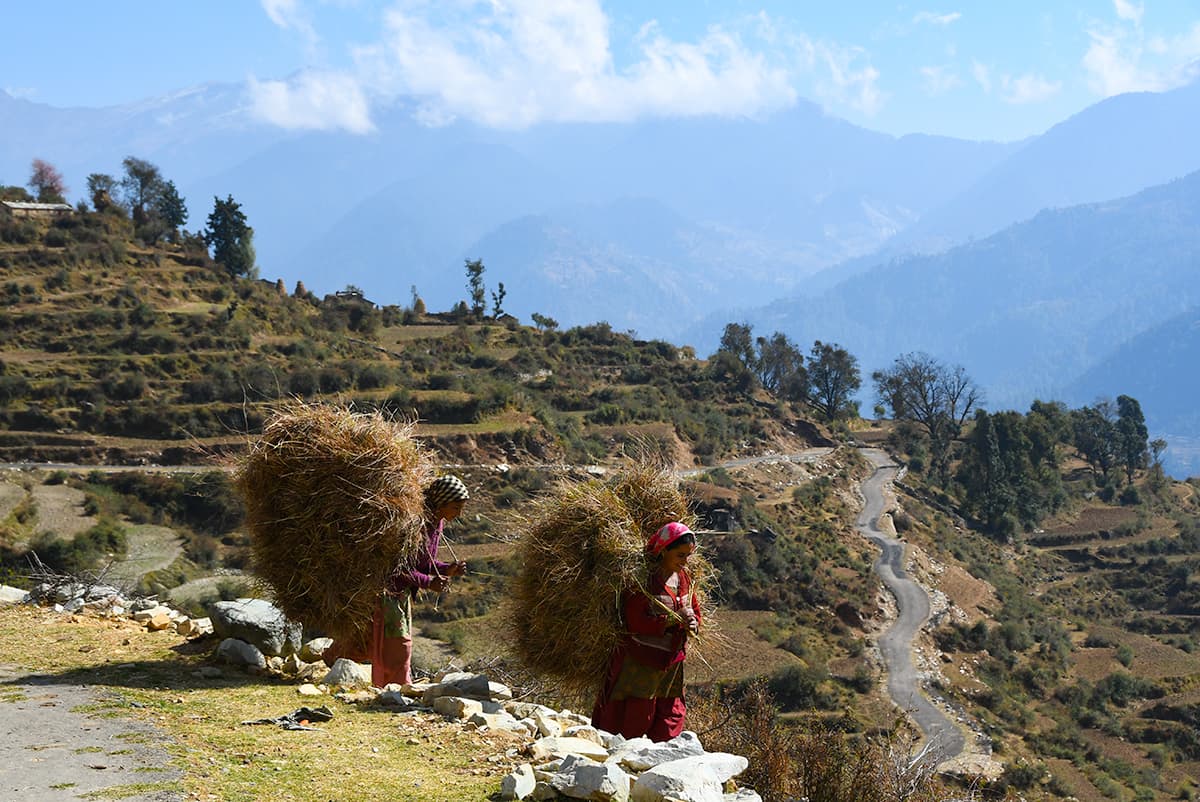 india himalayas trek local village women carrying grass